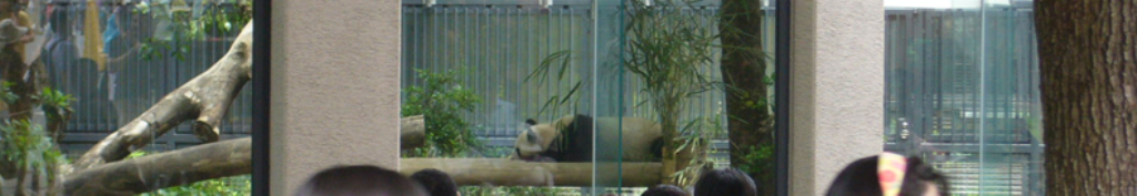 アディダスに興味があります！！